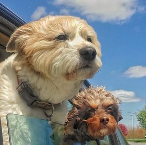 Meet your Posher, Chuck